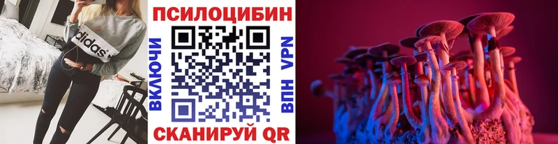 Псилоцибиновые грибы Psilocybe  Добрянка 